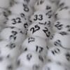 Gambling: Providers of New Lotteries on the Rise