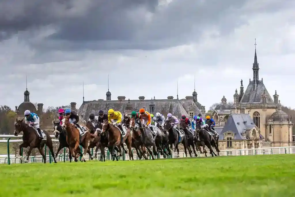 French Horse Racing: More Stakes & Players